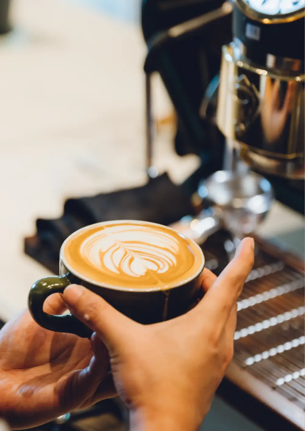 קטלוג Coffee Flow – עמוד 17